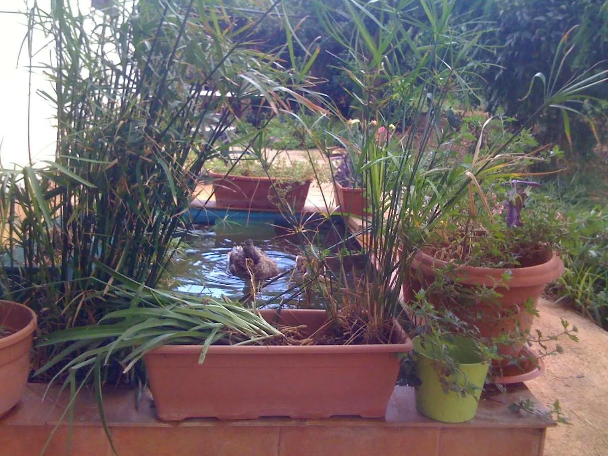 Tenuta Venezia Villa Castelvetrano